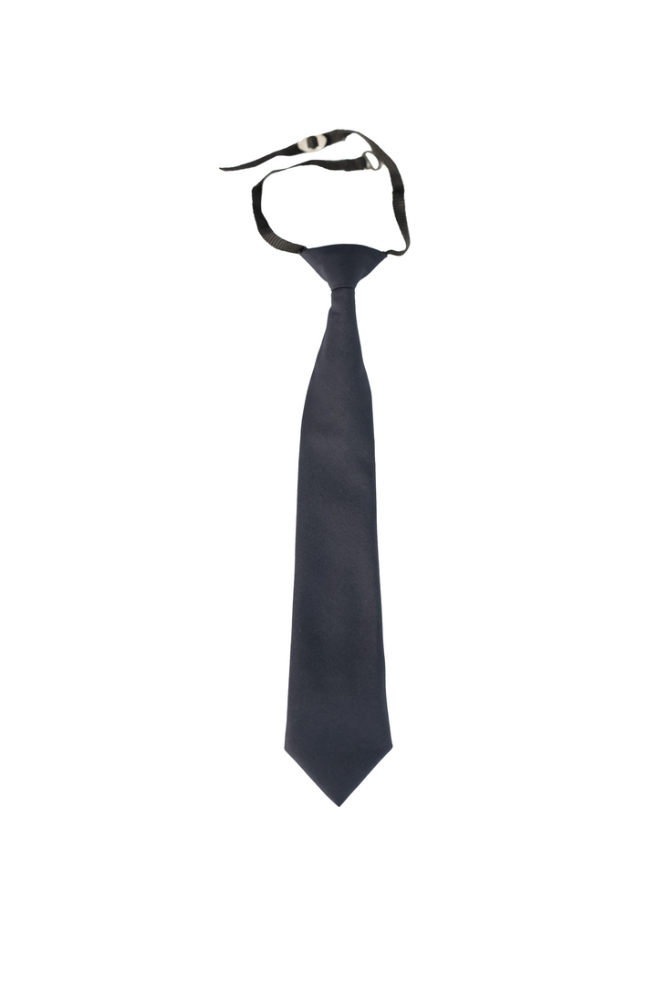 Lexicon Tie